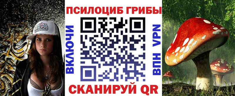 Галлюциногенные грибы прущие грибы  Балей 